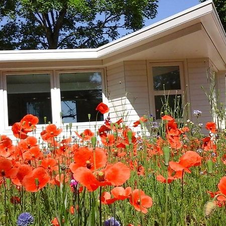 Willa Het Findament Tiny House Hilversum Zewnętrze zdjęcie