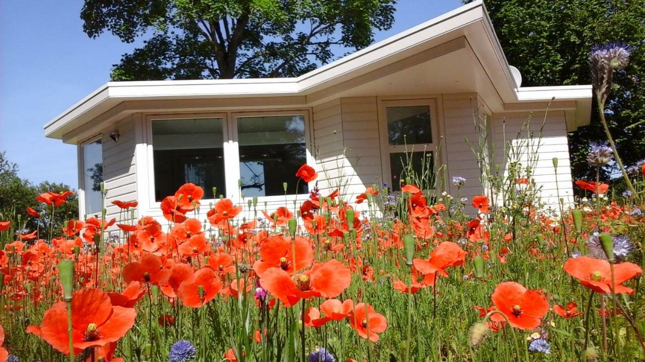 Willa Het Findament Tiny House Hilversum Zewnętrze zdjęcie