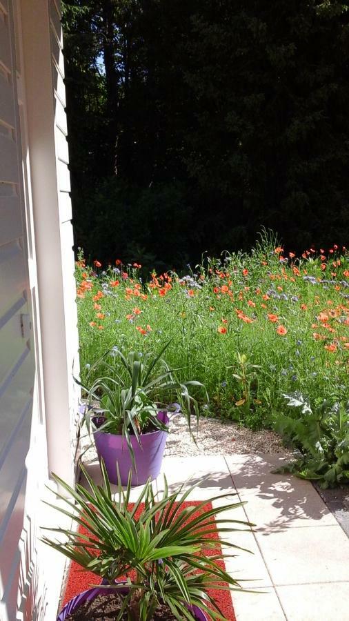 Willa Het Findament Tiny House Hilversum Zewnętrze zdjęcie
